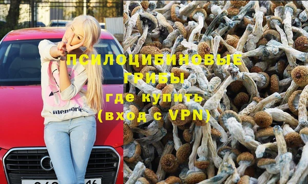 мяу мяу мука Армянск