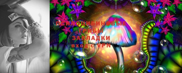 мяу мяу мука Армянск